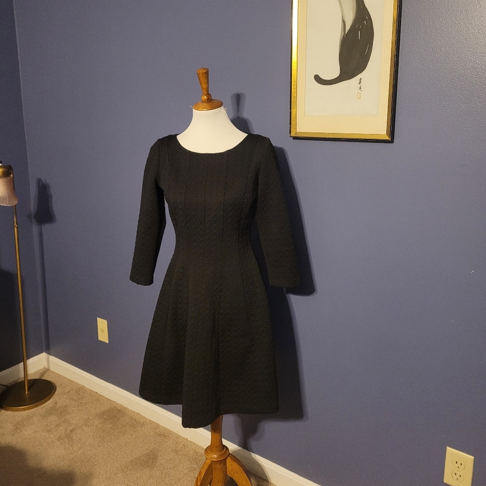 The Limited black skater dress